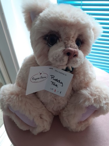 Kaycee bears puddy tat - puddy, le