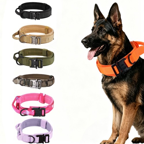 Universal tactical dog - universal, collar