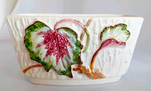 Vintage sylvac begonia rex - vintage,