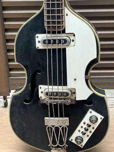 Domino electric bass violin - domino,