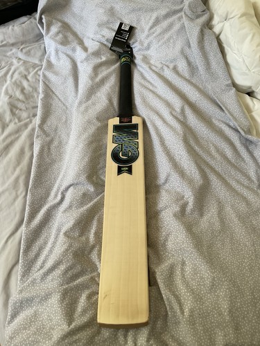 Aion english willow cricket - gm,