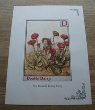 CICELY MARY BARKER - Double Daisy & Gorse fairies 11 x 8 inch WALL ART