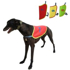 Warm Dog Race Suit