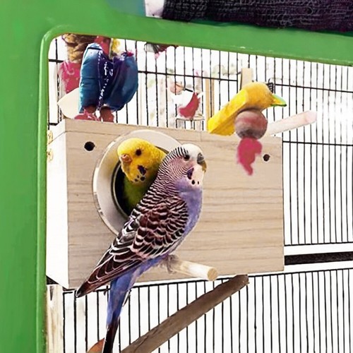 Bird breeding box cage - breeding,