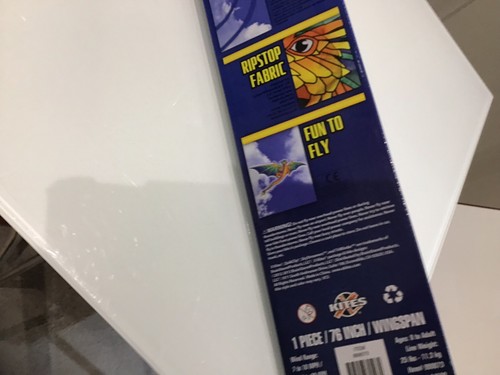 Dragon kite with tail - 3d,