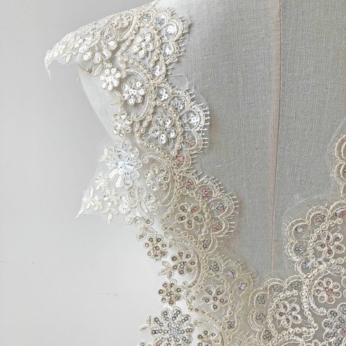 Corded sequined lace - sequined,