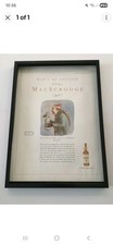 Macallan Whisky Framed