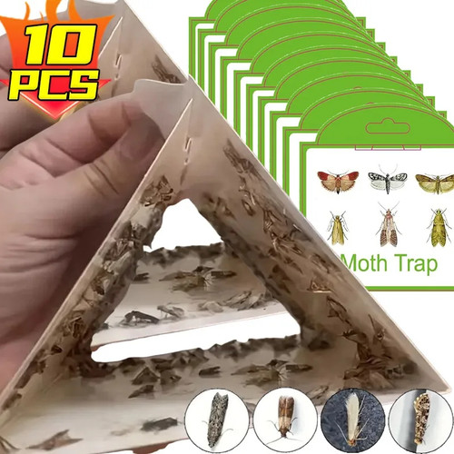 Pest moth traps pheromone - pheromone,