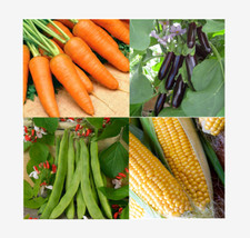 Vegetable Seeds - Large