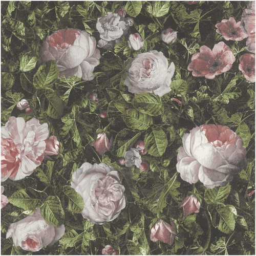 Blush rose floral wallpaper - rose,