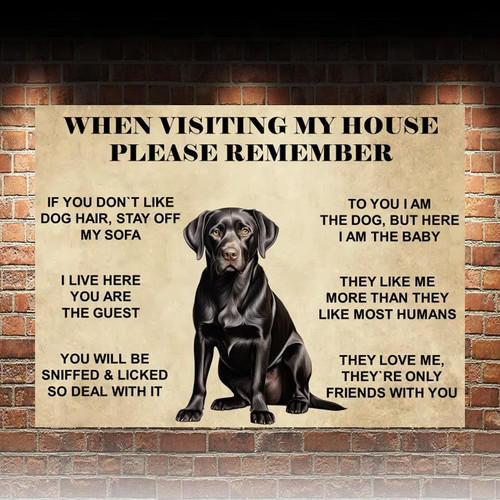 Funny cute black lab labrador - cute,