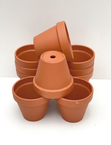 Traditional terracotta plant - traditional,