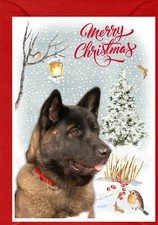 Akita Dog A6 (4"x 6") Christmas Card (Blank inside) Design by Starprint
