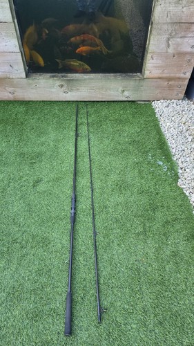 Daiwa whisker carp rod - carp,