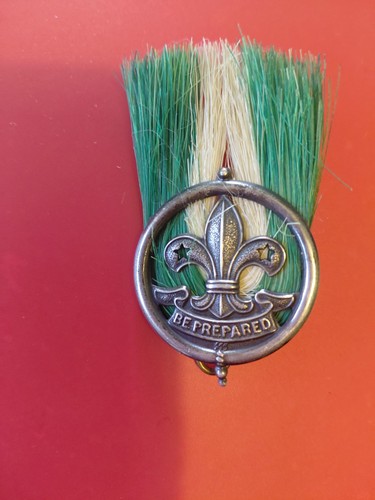 Solid silver group - solid, scoutmaster