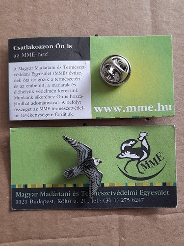Mme gyr charity pin badge - gyr,