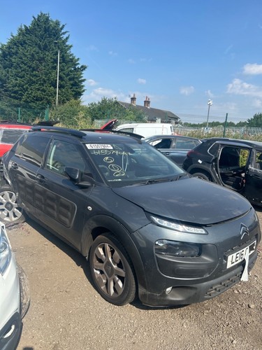 Citroen cactus flair - cactus,