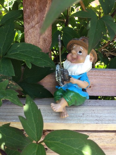 Cute whimsical garden gnome - cute,