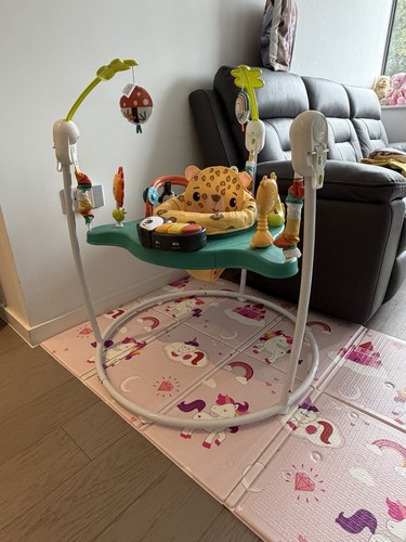 Fisher price jumperoo - fisher-price,