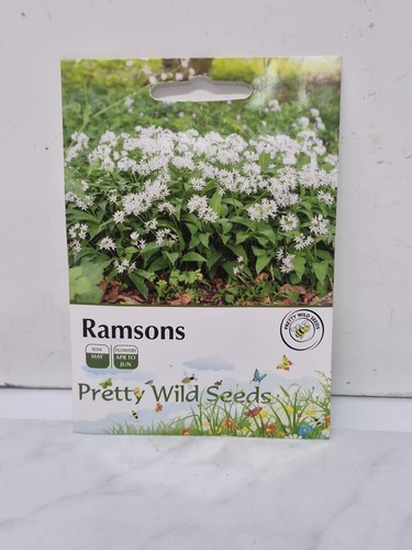 Ramsons wild garlic seeds - garlic, in