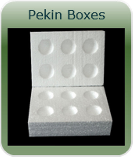 Hole pekin bantams - hole, pekin/bantams 