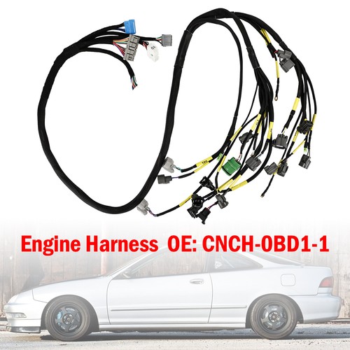 Obd1 budget b series - budget, d