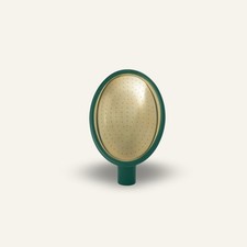 Watering Can Rose Medium Spray