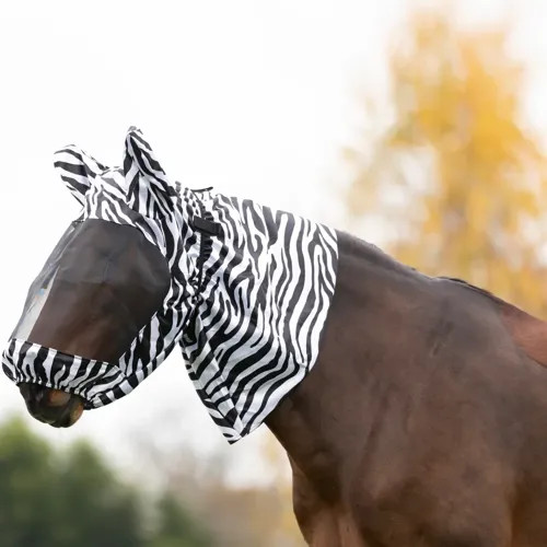 Equestrian sweet itch - sweet,