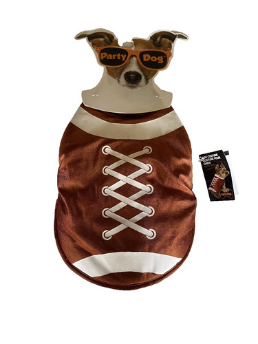 New party dog costume - dog, football