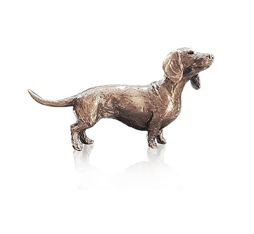 Bronze dachshund dog - dog,