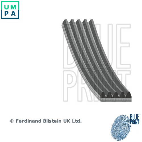 Vribbed belt ad05r2020 - vribbed, for