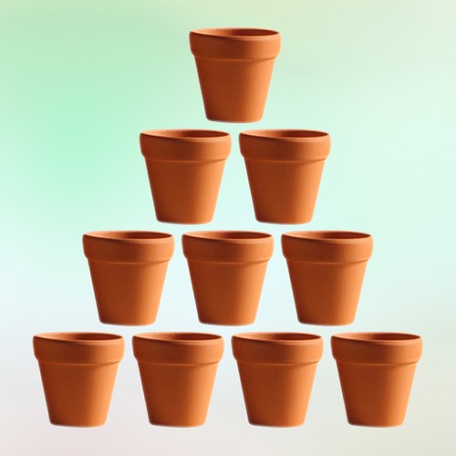 20x planter succulent nursery - succulent,