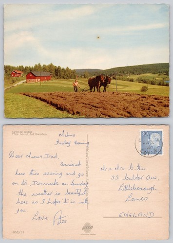 C31758 horse drawn plough - drawn, on