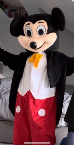 Mickey mouse mascot - mickey,