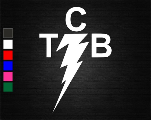 Elvis vinyl decal - t, b