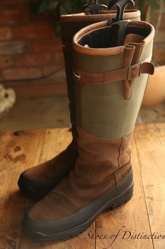Chameau brown nubuck - brown, green