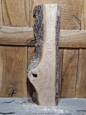 Live Edge Ash Slab (099)