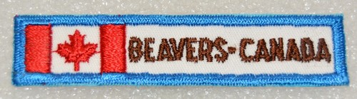 Beavers canada boy scout - beavers,