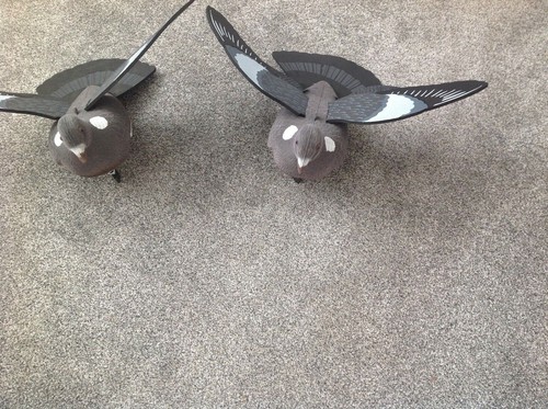 Pro flocked wing pigeon - pro,