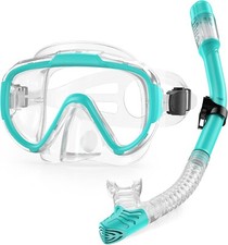 Lealinga Adult Snorkel Set Anti-Fog Mask with Dry Top Snorkel & Carry Bag Green