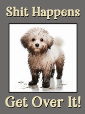 Bichon Frise Pet Dog Funny