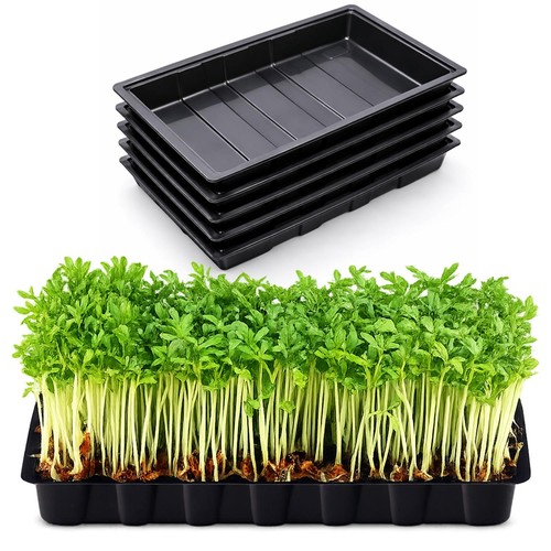Reusable garden seed - 5,