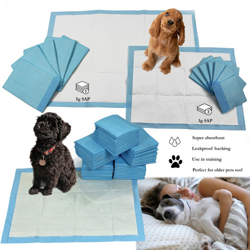 Training pads puppy - training, dog