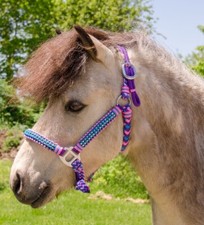 Miniature Horse Braided Parachute Cord Halter with Crystals