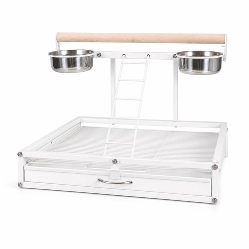 Bird play stand with - play,