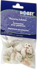 Hobby Sea Shells Reef Snail Decoration & Housing for Hermit Crabs Medium 10 pcs.
