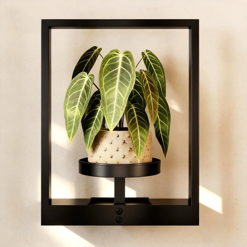 Wall planters for - planters, indoor