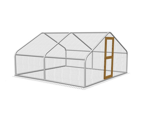 Walk chicken run - walk,