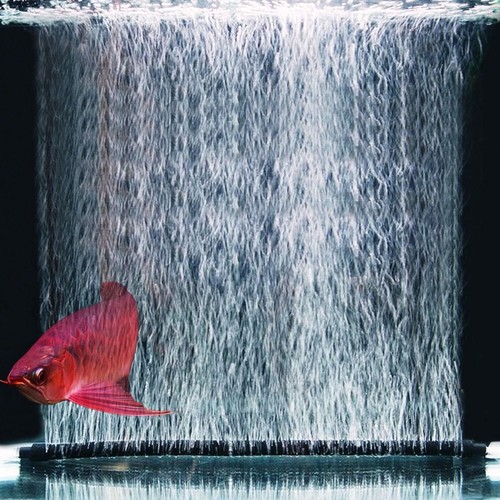 Aquarium air - double,