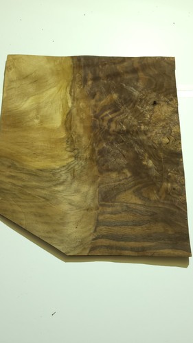 Walnut burr veneer 17 - walnut,